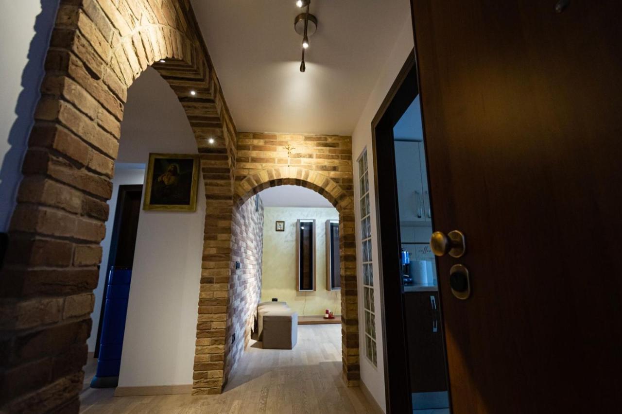 Apartament Danci. Borşa Exterior foto